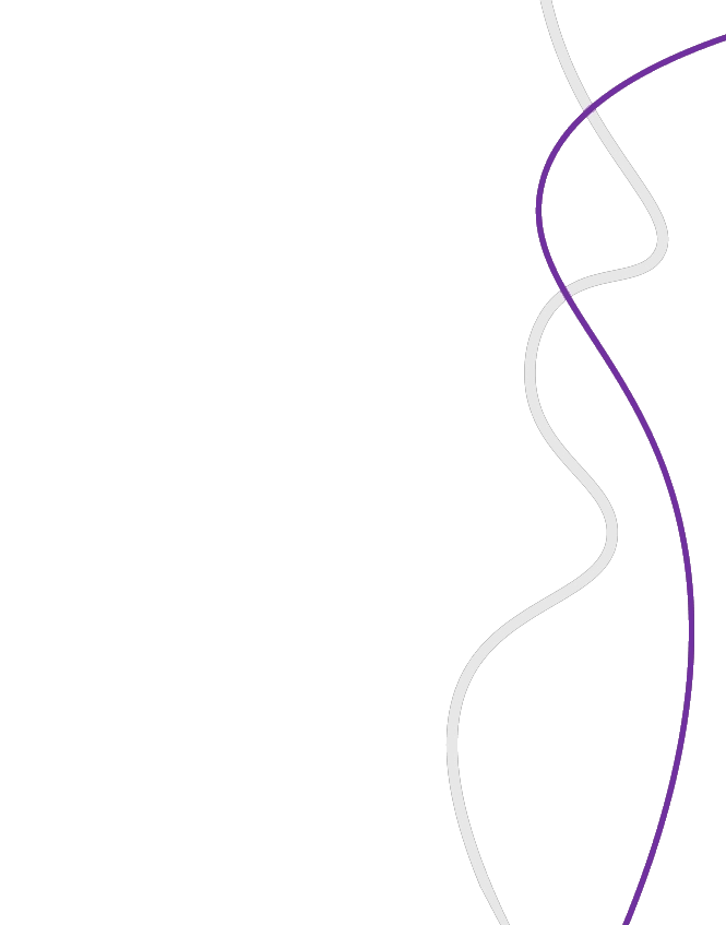 Banner Ribbons